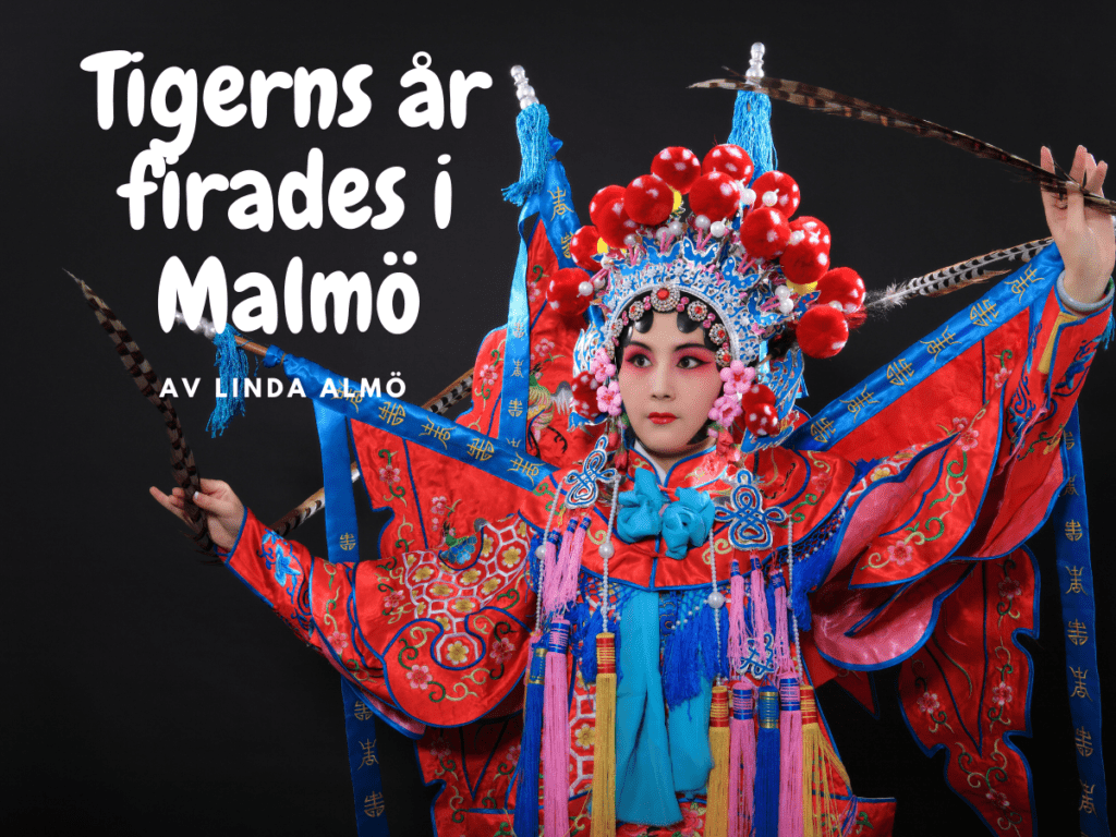 Tigerns år firades i Malmö