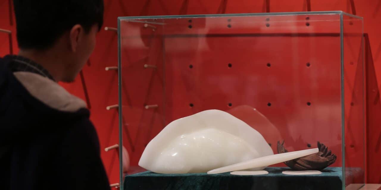 SCCC besöker Dumpling Museet