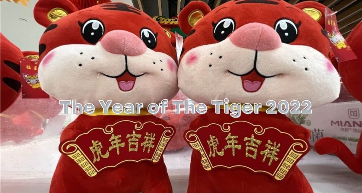China’s consumption momentum stays robust during Chinese holiday