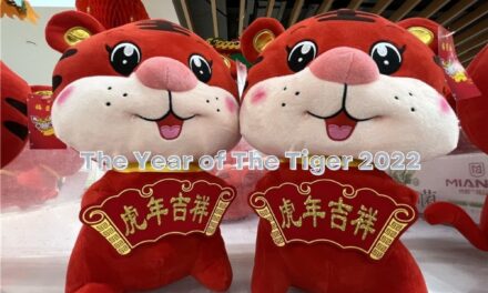 China’s consumption momentum stays robust during Chinese holiday